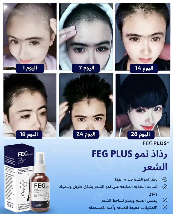 FEG Organic Hair Growth Treatment Oil